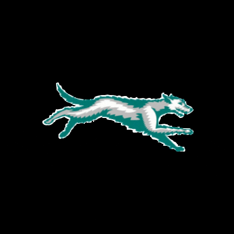 Wolfhound GIF by stpatsdc