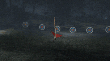 F13 Game GIF