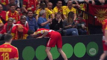 Give It Back North Macedonia GIF by EHF