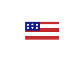 USEmbassySV Sticker