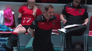 Celebration Win GIF by CEV - European Volleyball