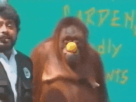 200.gif