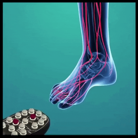 Footshoe GIF