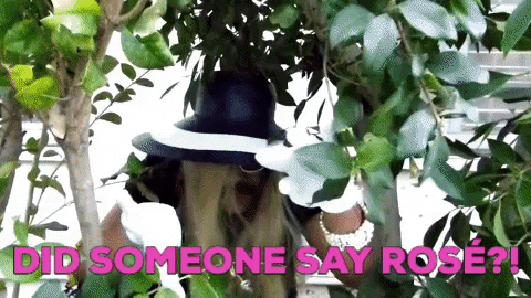 Happy Hour Drinking GIF by Robert E Blackmon - Find & Share on GIPHY
