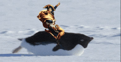Bonaparte GIFs - Get the best GIF on GIPHY