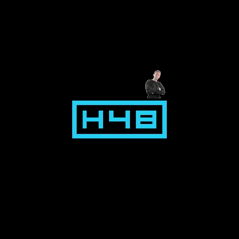 Logo Brand GIF by H48