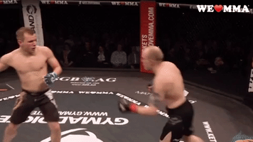 fight jump GIF by We love MMA