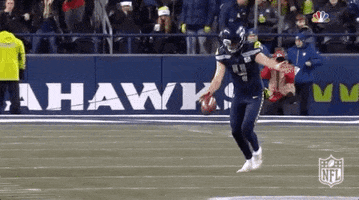 Punting 2018 Nfl GIF by NFL