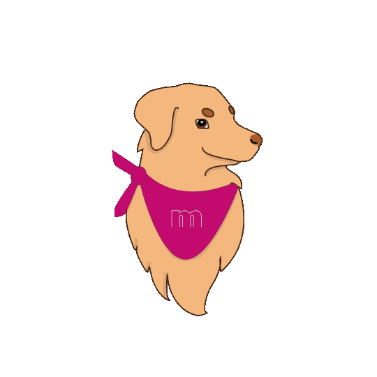 macromedia leipzig Sticker