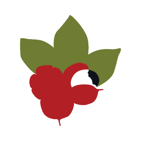 Carrefour Brasil Sticker