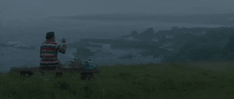Harry Styles GIF