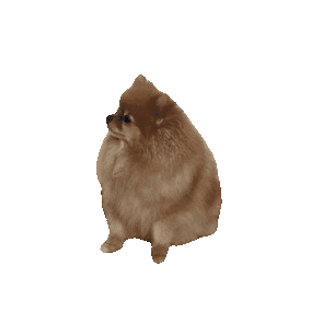 Dog Yes Sticker