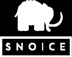 Snoice GIF