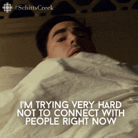trying very hard dan levy GIF by CBC