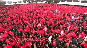 Turkey Tank GIF by TV7 ISRAEL NEWS