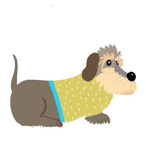 Dog Dachshund Sticker