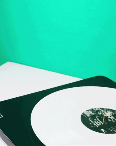 Record Player Beer GIF by Tuborg
