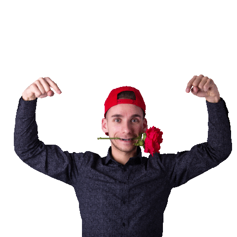 universitydancecenter Sticker