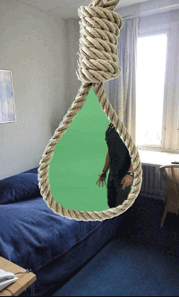 giphy.gif