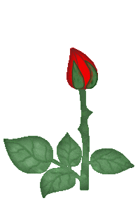 flowers STICKER