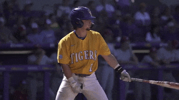 Baton Rouge Baseball GIF by LSU Tigers