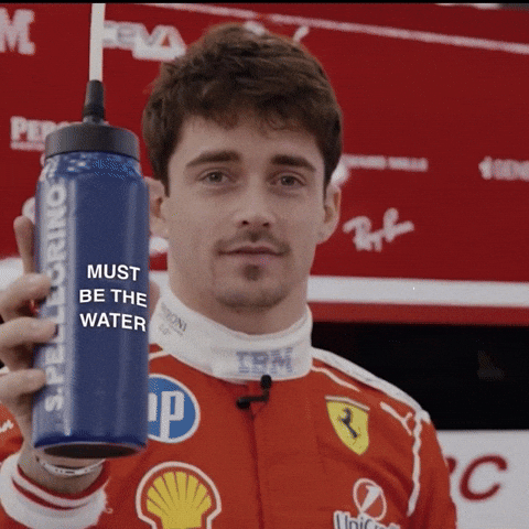 Charles Leclerc GIF