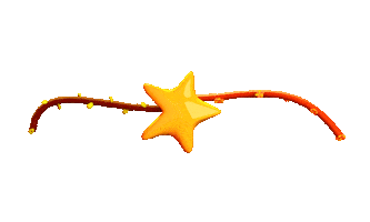 Flower Star Sticker