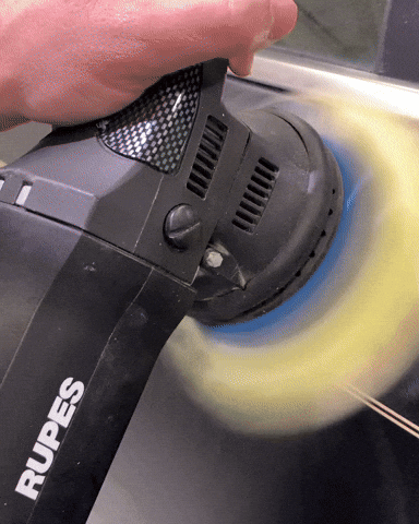 nextzett USA GIF