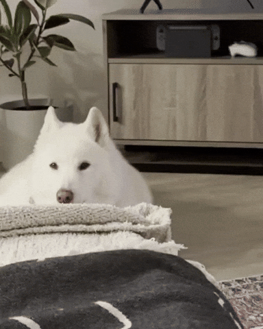 Fall Jax GIF