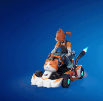 Kart Cate GIF