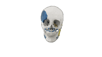 Sticker by Materialise Brasil