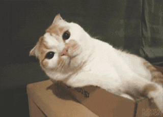 source.gif
