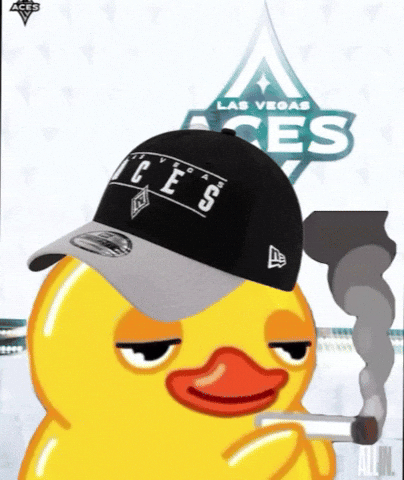 Las Vegas Ducks GIF