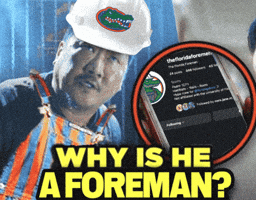 Florida Gators GIF