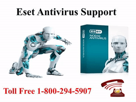 AnnaCallas eset antivirus support eset support support for eset antivirus GIF