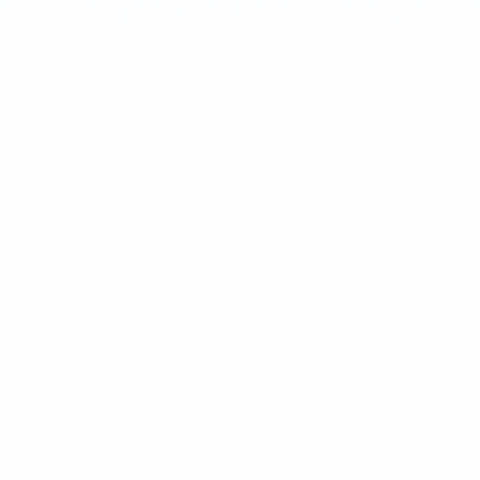 AntBition Maribor GIF