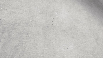 EraceTheHate GIF