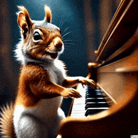 Cats Piano GIF by Gallery.fm