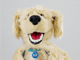 Well Done Love GIF by HIF Australia