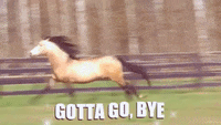 peace out running GIF by Mane 'n Tail