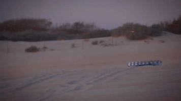 cars truck GIF by Discovery Europe