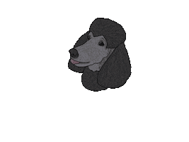 Dog Sticker