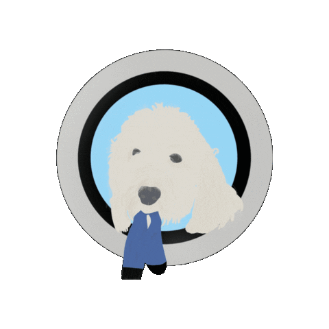 Washermans Laundromat Sticker