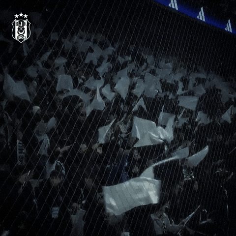 Bjk GIF by Besiktas JK