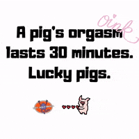 Pig Piggy GIF by Not Just Trivia