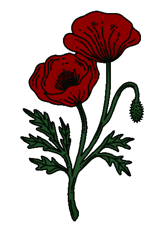 Red Sticker