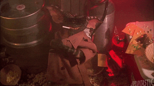 giphy.gif
