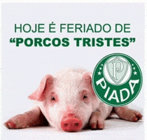 Santos Corinthians GIF