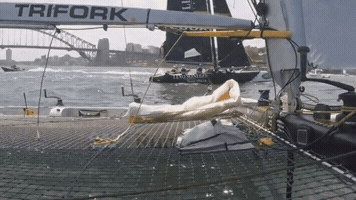 farkers  GIF
