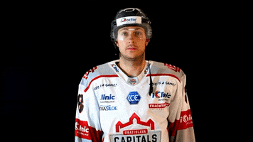 BratislavaCapitals GIF